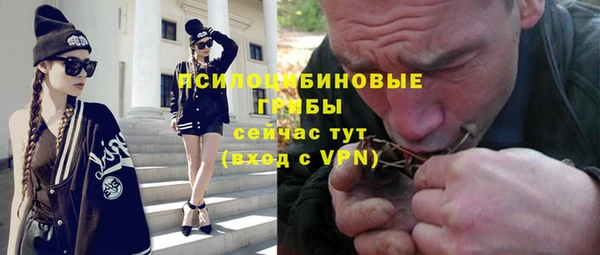 мет Алексин