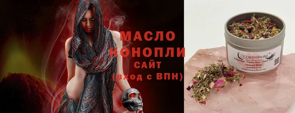 мет Алексин