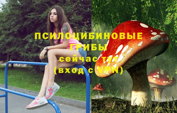 кокаин премиум Алзамай