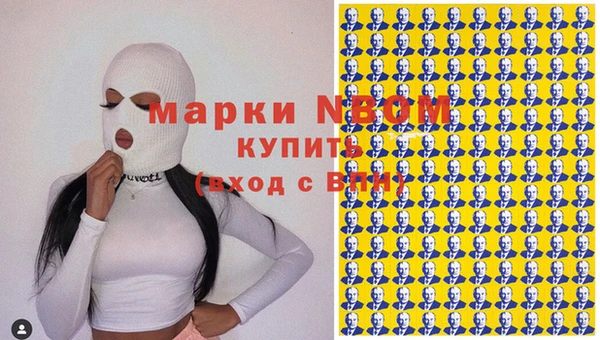мет Алексин