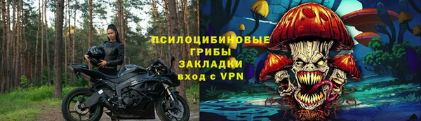 мет Алексин