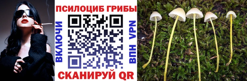 Галлюциногенные грибы прущие грибы  Малаховка 