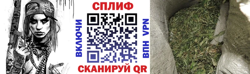 купить  сайты  Малаховка  Бошки марихуана семена 